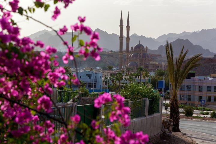 Sharm El Sheikh: Private City Tour, Old Market & Farsha Café