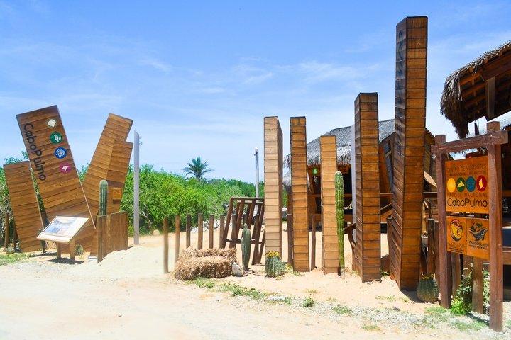 Private Cabo Pulmo Jeep Tour and snorkel