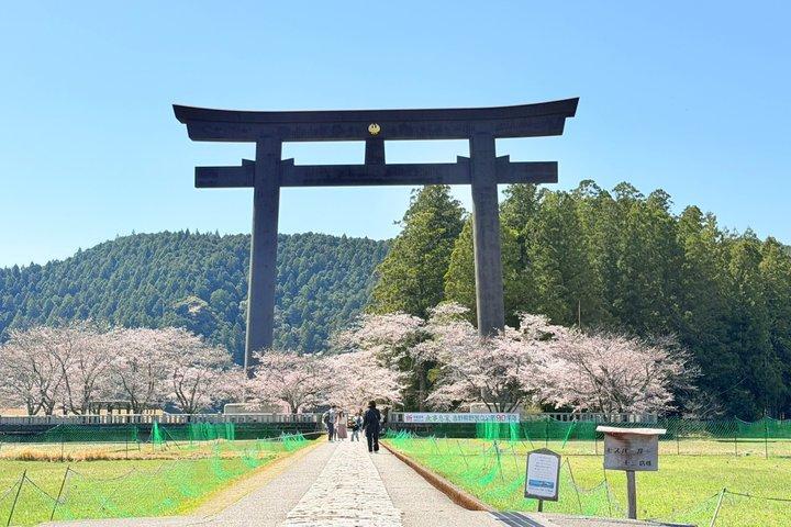 UNESCO Kumano Kodo: Complete 3 Grand Shrines & Nachi Hike
