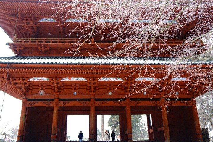 Mt Koya UNESCO Tour : Live Goma Fire Ritual & Hidden Shrine