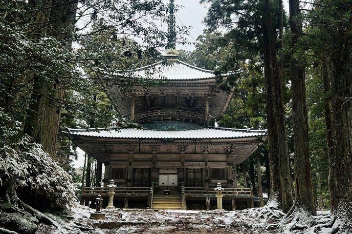 Mt Koya UNESCO Tour : Live Goma Fire Ritual & Hidden Shrine