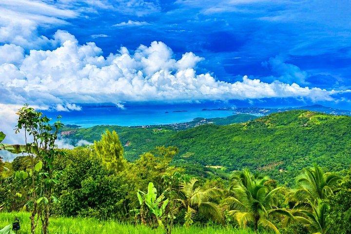 Jungle Zipline Adventure: 10 Cables, Tree Bridge Bar & Sea Views