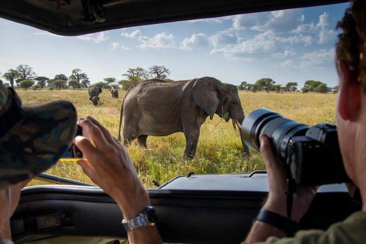 Private 6 Day Arusha Adventure Tour by 4WD