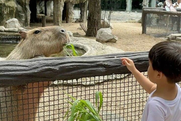 Paris Zoological Park Entry Ticket