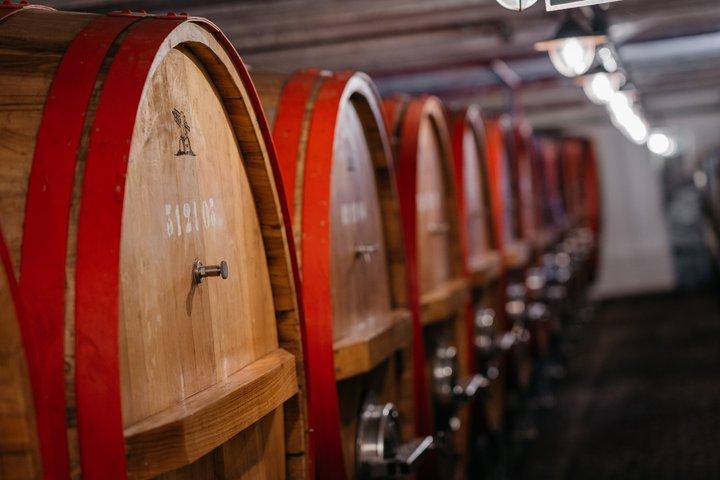 Immersive Brewery Tour with Beer Tastings - Brussels Area