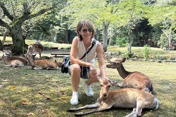 Hiroshima Miyajima Island Half Day Tour