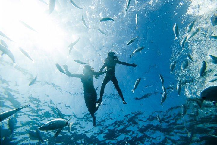 Ferry to Lobos Island + Snorkel from Corralejo