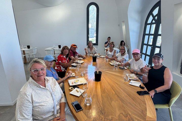 Santorini Private Full-Day Tour with wine Tasting Included