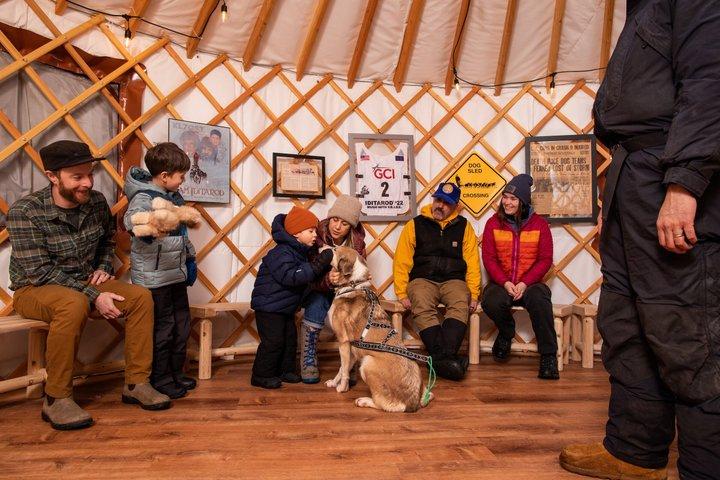 Iditarod Sled Dog Kennel Tour Meet Champion Dogs in Alaska