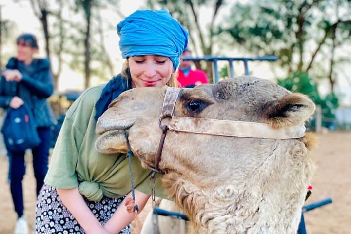 Camel Ride in Agadir & option at Sunset with BBQ and Couscous