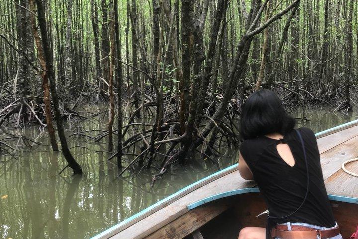 Ko Lanta Mangrove Boat Trip With Lunch and Lanta Old Town