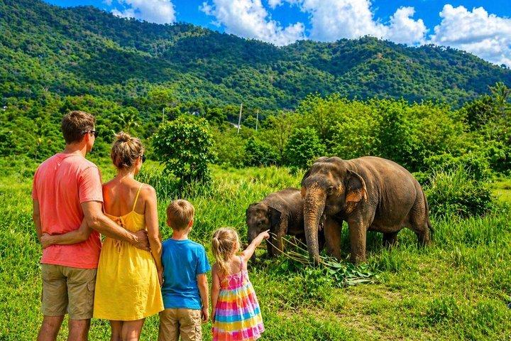Elephant Nature Care, the largest elephant sanctuary on Koh Samui