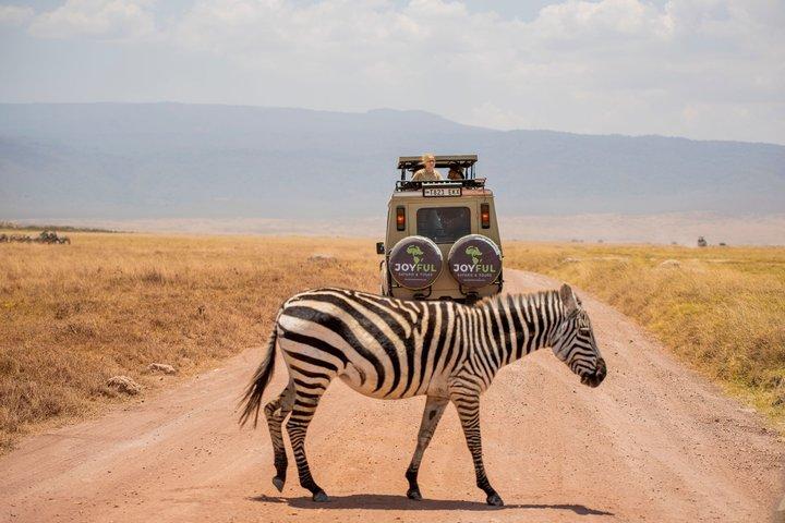 Three Day Serengeti and Ngorongoro Group Camping Safari