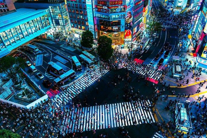 Tokyo Private Tour with Custom Itinerary And English Driver Guide