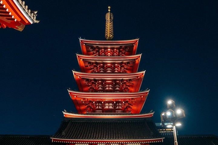 Tokyo Private Tour with Custom Itinerary And English Driver Guide