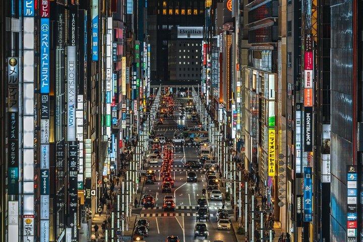 Tokyo Private Tour with Custom Itinerary And English Driver Guide