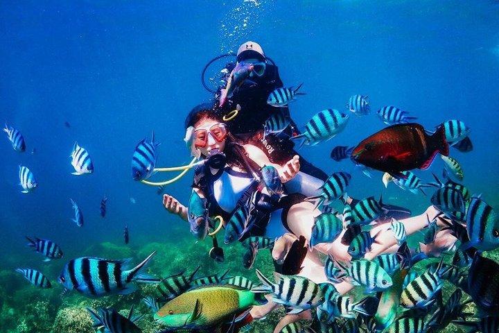Nha Trang Deluxe Ocean Snorkeling Tour with BBQ and Mud Bath