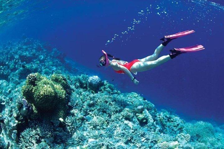 Nha Trang Deluxe Ocean Snorkeling Tour with BBQ and Mud Bath