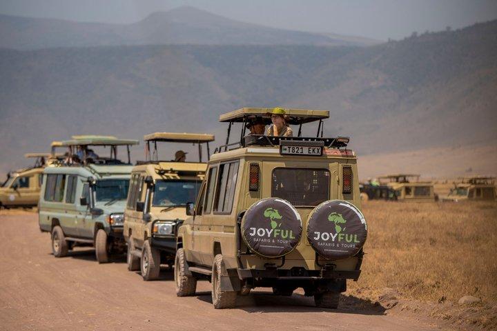 Two Day Budget Group Camping Safari to Tarangire and Ngorongoro