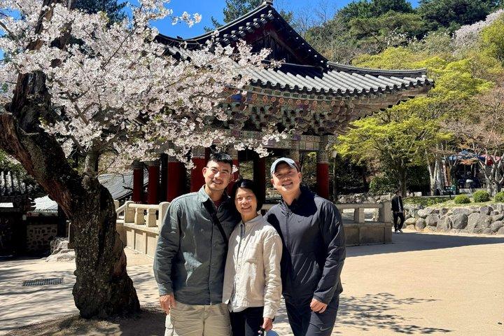 Private Gyeongju UNESCO Tour with Ryan - Starts in Gyeongju