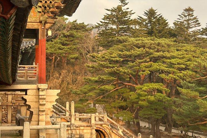 Private Gyeongju UNESCO Tour with local - Starts in Gyeongju