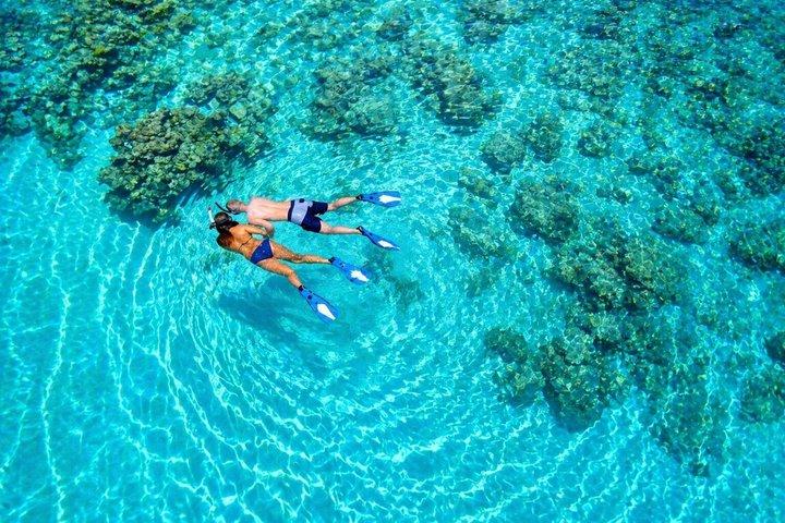 Private Speed Boat to Tiran Island