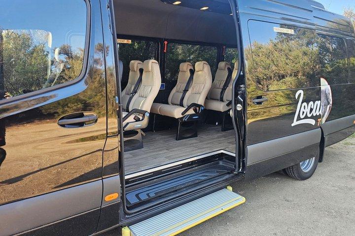 Yarra Valley Redwoods Tour with Winery Lunch or Wildlife Option