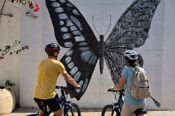 Djerbahood Electric Bike Ride to Village Street Art