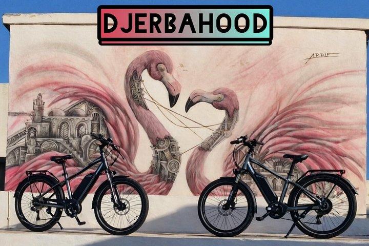 Djerbahood Electric Bike Ride to Village Street Art