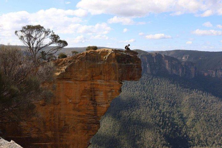 Blue Mountains Private Tour | Beyond the Three Sisters