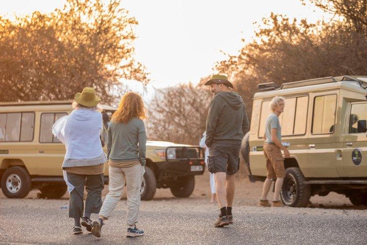 One Day Trip to Tarangire National Park the Home of Big 4