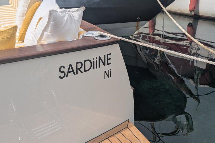 Private Boat Tour A unique French Riviera experience Nice/Monaco