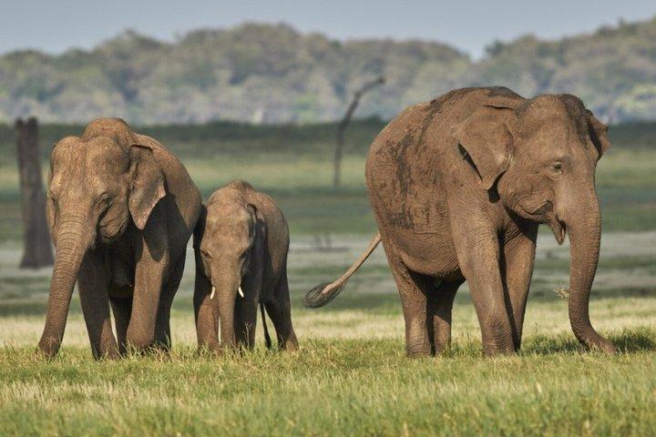 Small Group 4 Day Garden Route Adventure from Cape Town