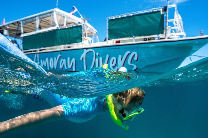 Key Largo Snorkeling Trip to the Florida Reef (Boat Tour)
