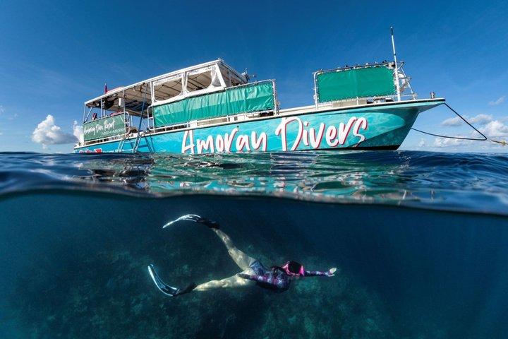 Key Largo Snorkeling Trip to the Florida Reef (Boat Tour)