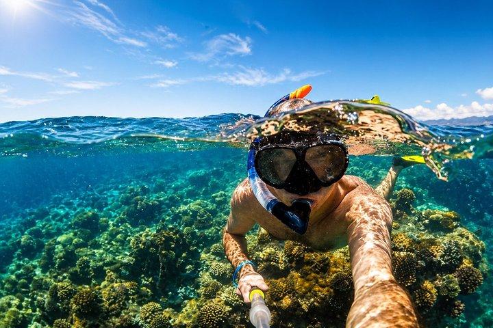 Snorkeling Day Trip To White Island By Boat In Sharm El Sheikh