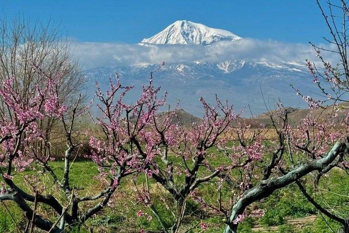 Private Khor Virap Noravank Areni Winery Tour