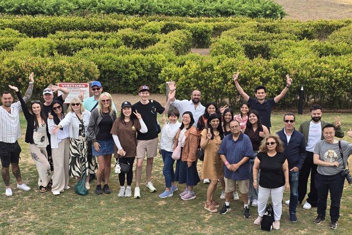 Adelaide Gems in a Day: Hahndorf, Glenelg Beach, City Tour 6.5hrs