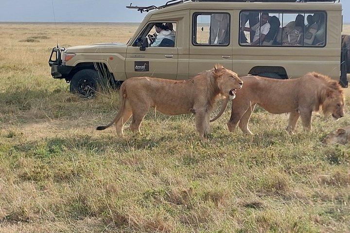 4 Days, 3 Nights Group budget Safari, Lake Manyara, Serengeti, Ngorongoro