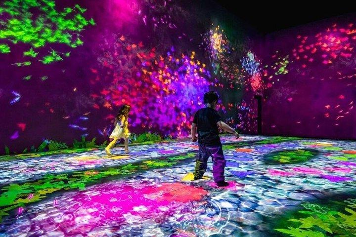 Tokyo TeamLab Borderless Admission