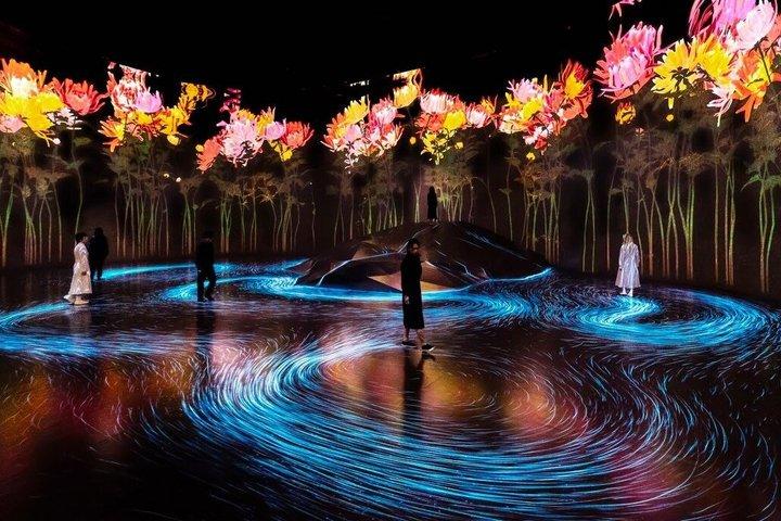 Tokyo TeamLab Borderless Admission and Subway Pass