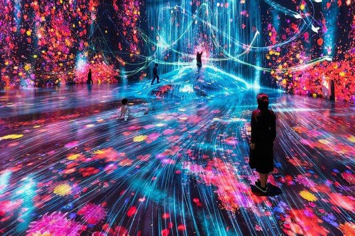 Tokyo TeamLab Borderless Admission