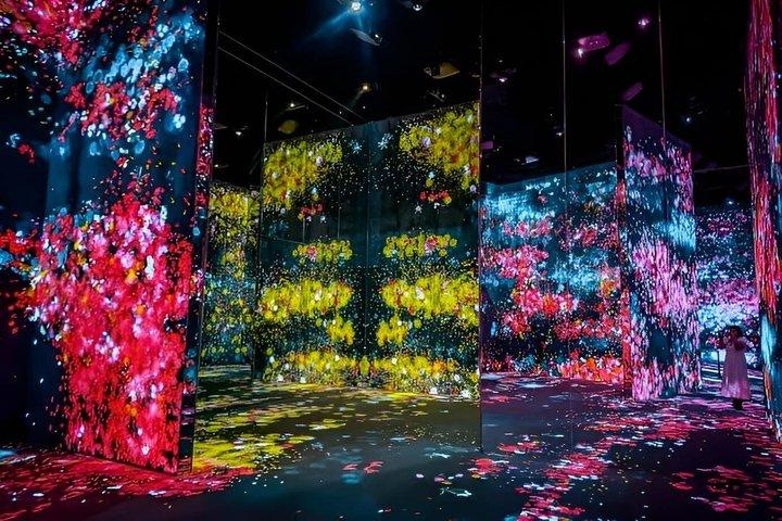 Tokyo TeamLab Borderless Admission