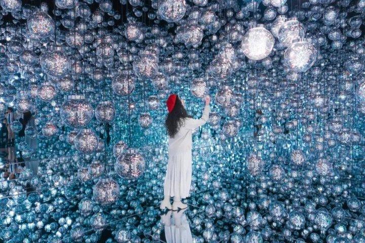 Tokyo TeamLab Borderless Admission