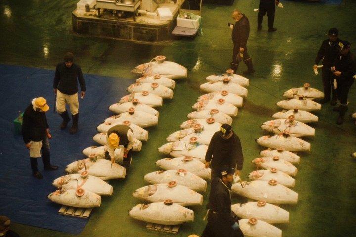 Toyosu Market Tuna Auction & Tsukiji Tour With Former Sushi Chef