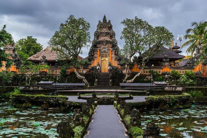 Ubud Monkey Forest, Rice Terrace, Water Temple, Waterfall & Swing