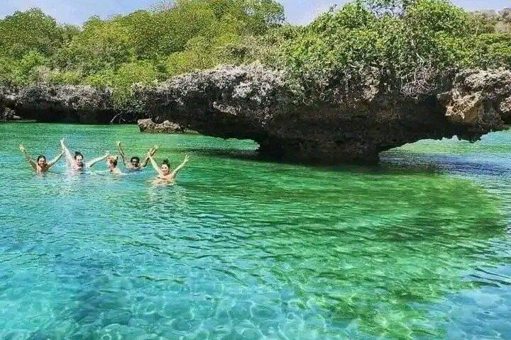Safari Blue: Full-Day Ocean Adventure in Zanzibar