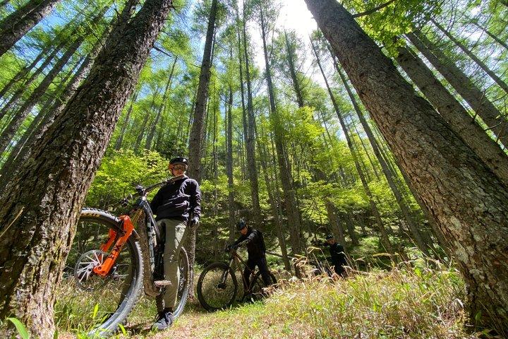 Osaka Japan E MTB Trail Ride: Katsuo-ji Temple & Pilgrim Trails