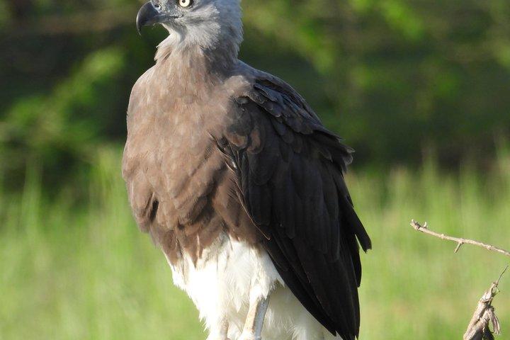 Yala National Park Full Day Wildlife Jeep Safari