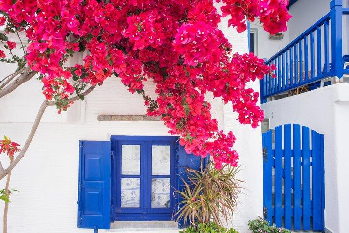 Mykonos Wow Tour - Private Highlights and Scenic Stops